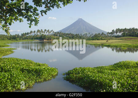 Mount Mayon gesehen vom Mann gemacht Lake Gabawan, Morgenlicht, in der Nähe von Daraga, Bicol, Philippinen Stockfoto