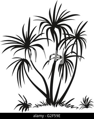 Palmen und Rasen-Silhouetten Stock Vektor