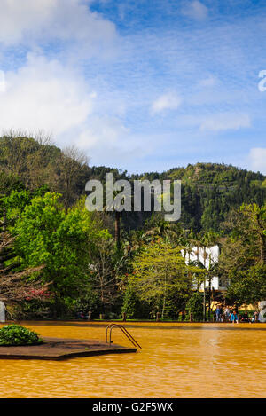 Terra Nostra Park Furnas Thermische Frühlinge Azoren Stockfoto