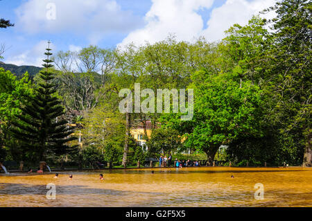 Terra Nostra Park Furnas Thermische Frühlinge Azoren Stockfoto