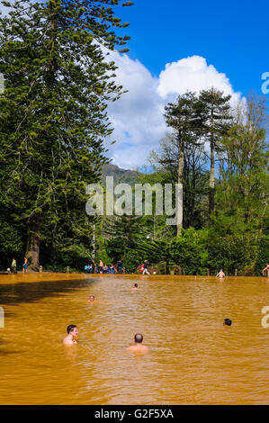 Terra Nostra Park Furnas Thermische Frühlinge Azoren Stockfoto