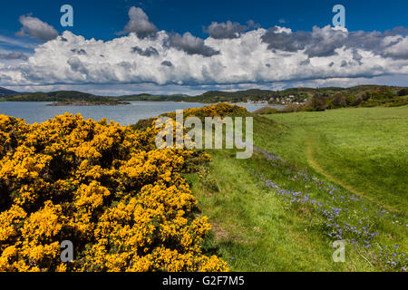 Blick zurück entlang der Küste von Castle Point, Rockcliffe entlang grobe Firth, Dumfries & Galloway, Schottland Stockfoto