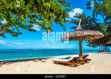 Weißen Sand-Strand mit Liegestühlen und Sonnenschirm auf der Insel Mauritius, Indischer Ozean Stockfoto