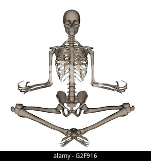 Vorderansicht des menschlichen Skeletts meditieren, isoliert auf weißem Hintergrund. Stockfoto