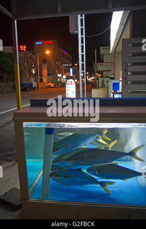 Fisch zum Verkauf in einem Restaurant in Seongsan auf der Insel Jeju Stockfoto