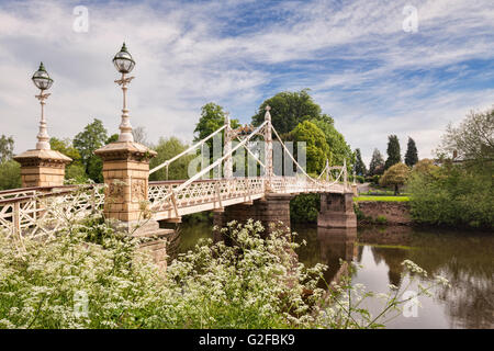 Victoria-Brücke, eine Fußgängerbrücke über den Fluss Wye in Hereford, mit Kuh Petersilie (Anthriscus Sylvestris) im Vordergrund, Herefo Stockfoto