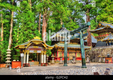 Tor des Tōshōgū-Schrein in Nikko Stockfoto