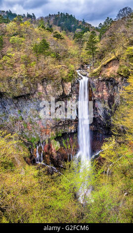 Kegon Falls, einer der höchsten Wasserfälle in Japan Stockfoto