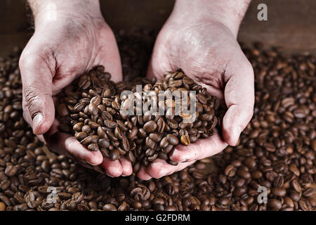 Männliche Arbeiter Hände halten frisch gerösteten dunkle Espresso Kaffeebohnen Stockfoto