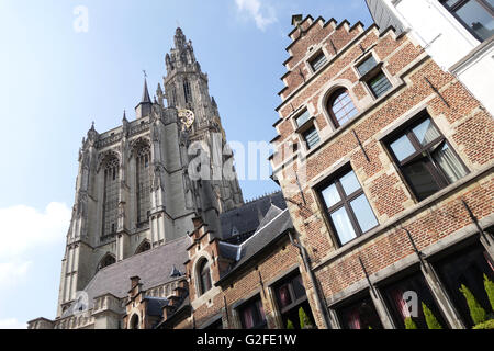 Onze-Lieve-Vrouwe Kathedraal (Kathedrale Notre-Dame), Antwerpen, Belgien Stockfoto