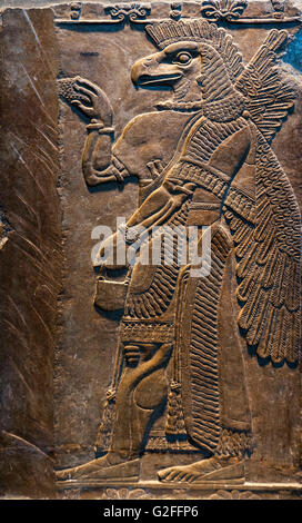 Unter der Leitung von Adler Schutzgeist, c.865-860 v. Chr. aus dem Palast in Nimrud, assyrischen Gallery, British Museum, Bloomsbury, London, England, UK Stockfoto