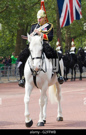 Die Band von der Household Cavalry Stockfoto
