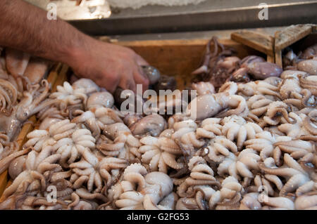 Kleine Baby Tintenfisch Meeresfrüchte zum Verkauf an Fisch und Obst Straßenmarkt in Omonia Monastriki Agora Athens. Stockfoto