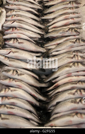 Frische Sardinen Fisch zum Verkauf an Fisch und Obst Straßenmarkt in Omonia Monastriki Agora Athens. Stockfoto