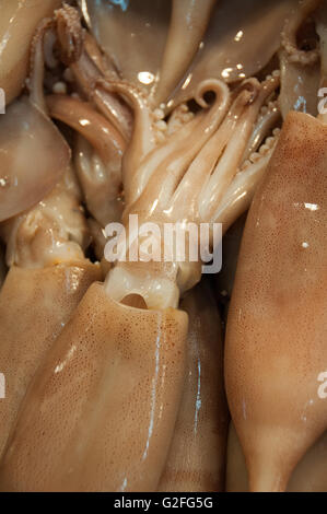 Frische Calamari Fisch zum Verkauf an Fisch und Obst Straßenmarkt in Omonia Monastriki Agora Athens. Stockfoto