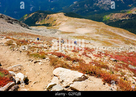 Wanderer in der Nähe des Gipfels des Mount Yale Colorado Stockfoto