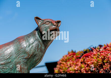 Leroy die Katze Skulptur von Will Richards, zu Ehren der Katze, Avalon, besaß, Catalina Island und Sterne in Büchern von Liz Greison Stockfoto