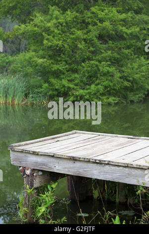 Am Ufer des Lake Martin Dock Stockfoto