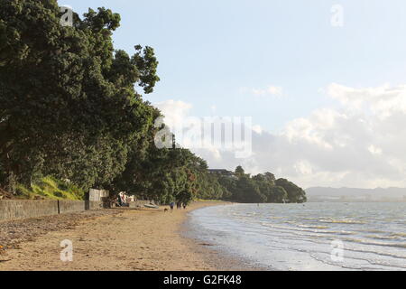 Pt Chevalier Strand in Auckland, Neuseeland Stockfoto