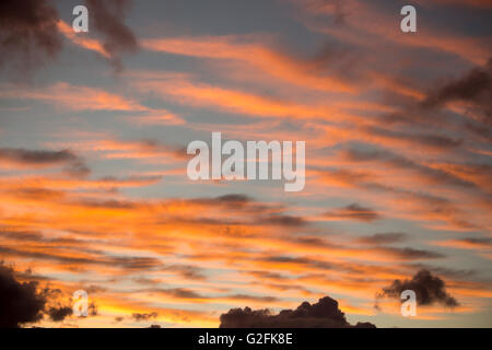 Wolken bei Sonnenuntergang in Bunbury, Western Australia sind wunderschön geformt mit weichem rosa, grau und Hellblau Farben wie die Sonne untergeht. Stockfoto