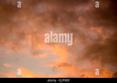 Wolken bei Sonnenuntergang in Bunbury, Western Australia sind wunderschön geformt mit weichem rosa, grau und Hellblau Farben wie die Sonne untergeht. Stockfoto