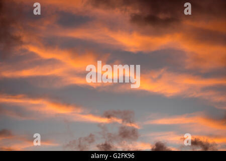 Wolken bei Sonnenuntergang in Bunbury, Western Australia sind wunderschön geformt mit weichem rosa, grau und Hellblau Farben wie die Sonne untergeht. Stockfoto