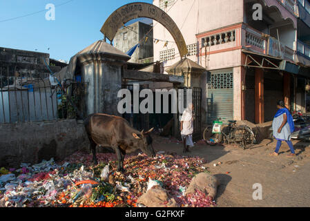 Markt Eingang, weiße Stadt Puducherry (Pondicherry) Stockfoto
