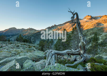 Sonnenaufgang am Naturschutzgebiet von Néouvielle, Hautes-Pyrénées, Frankreich. Stockfoto