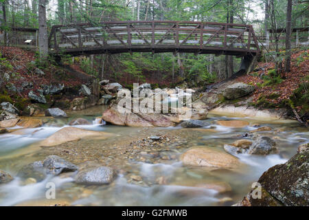 Der Pemigewasset River, knapp unterhalb der "die Basin' Bildfläche in Franconia Notch State Park von Lincoln, New Hampshire, USA. Stockfoto