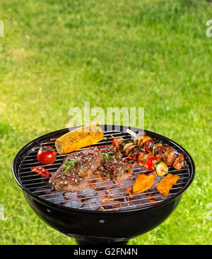 Verschiedene Arten von Fleisch auf Grill serviert mit Rasen auf Hintergrund Stockfoto