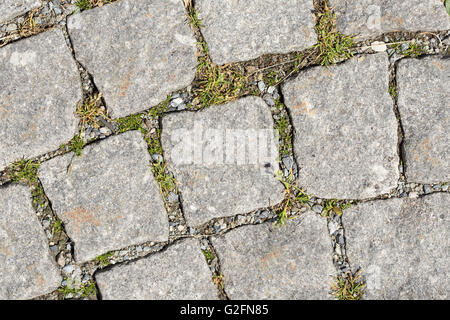 Blick auf grauen Steinpflaster von Straßen von Rom, Italien. Einsetzbar als Hintergrund oder Textur Stockfoto