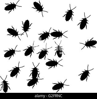 Kakerlaken Stockfoto