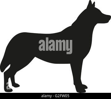 Husky Hund silhouette Stockfoto