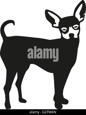 Prager Rattler Hund Stockfoto