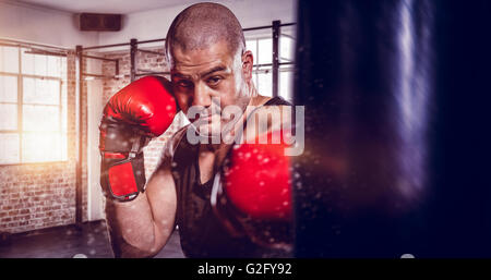 Das zusammengesetzte Bild der Boxer, die aufrechte Haltung Stockfoto