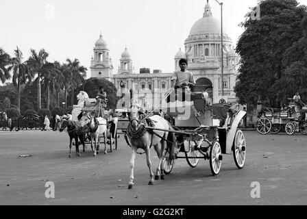 Pferd Gefahren Pheaton Karren der Kolonialzeit, Victoria Memorial, Kalkutta, Westbengalen Stockfoto