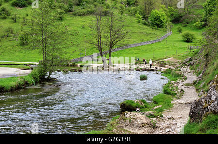 Die Stepping Stones in Dovedale in Derbyshire Peak district Stockfoto