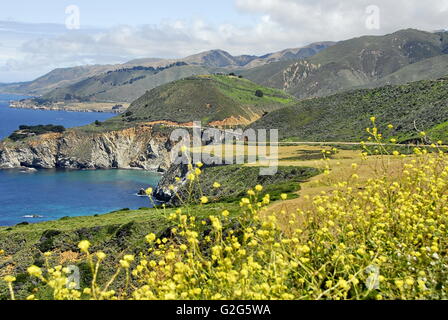 Bixby Bridge an der Big Sur Küste in Zentralküste Kalifornien entlang der California State Route 1 Stockfoto