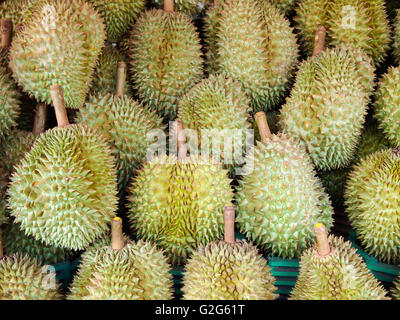 Durian auf Regal auf dem Markt Stockfoto