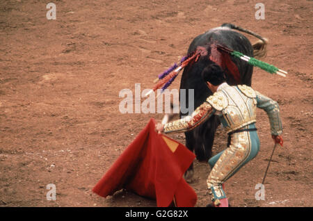 Stierkampf in Mexiko. Stockfoto