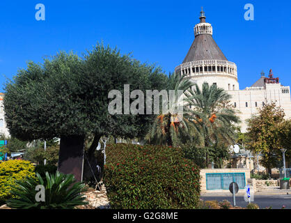 Nazareth Bigest Kathedrale Eith ein Olivenbaum in den Vordergrund und blauer Himmel oben Stockfoto