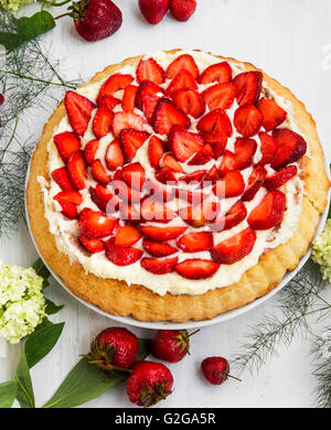 Erdbeeren und Sahne Torte, Erdbeeren Früchte Torte Stockfoto