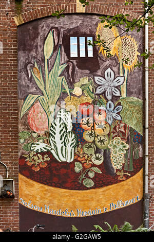 Straße Wandmalerei von Nelson Mandelas Gefängniszelle mit dem Gemüse wuchs er im Gefängnis, Amsterdam, Niederlande Stockfoto