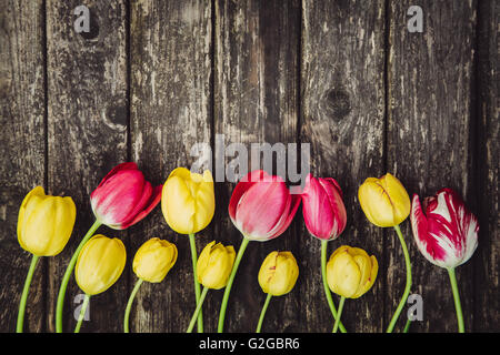 Gelb und rosa Tulpen auf grauem Holztisch shabby Stockfoto