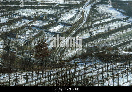 Weinberge in der Nähe von Ivrea (Piemont) im Winter mit Schnee Stockfoto