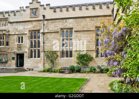 BLAUREGEN WÄCHST AN DEN WÄNDEN DES JESUS COLLEGE IN OXFORD Stockfoto