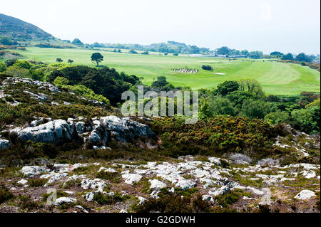 Schöne Aussicht auf einen Golfplatz auf eine Sommerzeit in Howth, Dublin, Irland Stockfoto