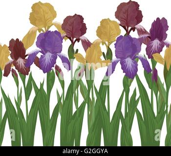Iris Blumen und Schmetterlinge, nahtlose Stock Vektor