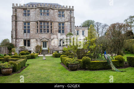 Jagdschloss und Gärten des Newark Park in Gloucestershire mit Pfau Stockfoto