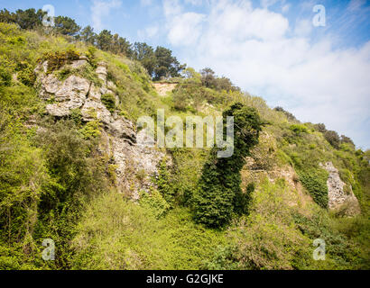 Jura Kalkstein Aufschlüssen über Erdrutsche von der Undercliff in der Nähe von Lyme Regis in Dorset eine instabile Region von kontinuierlichen rutscht Stockfoto